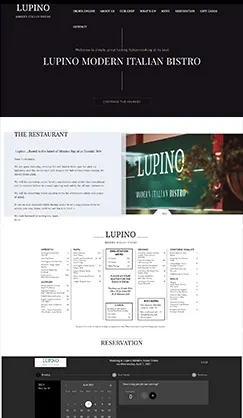 Auckland Affordable Websites