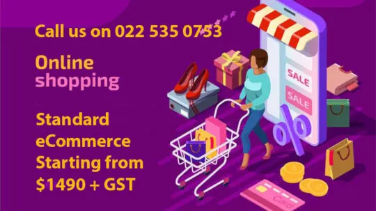 Affordable eCommerce Websites Auckland
